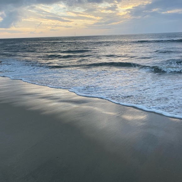 🦩🦩🦩🦩🦩 join the flock tag list - Picture 10 of 15